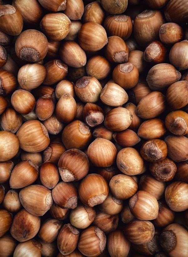 MOSHN Hazelnuts